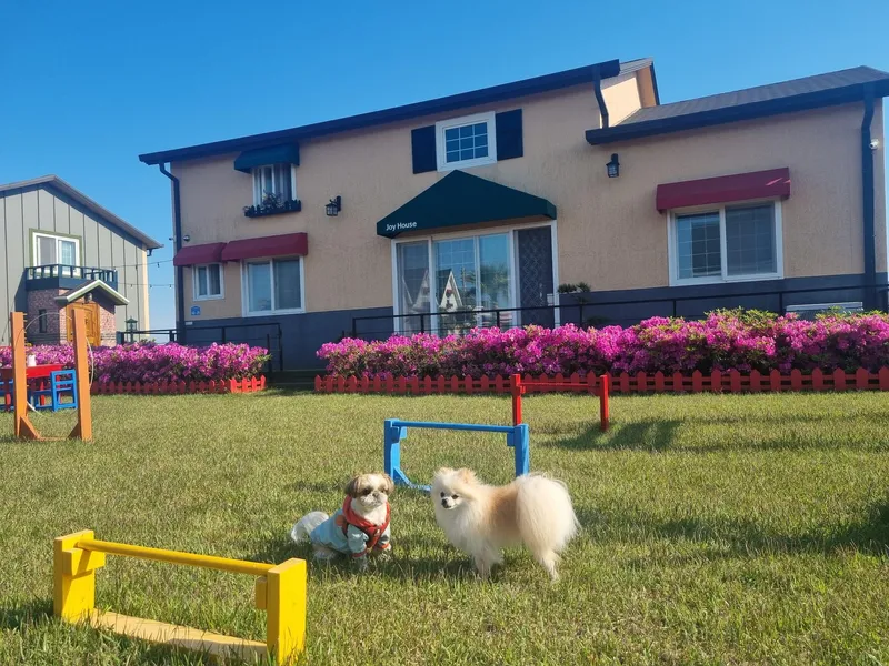 [Gujwa, Jeju] European-style accommodation, pet-friendly one-room duplex Blue Jeju #Large dogs allowed 22