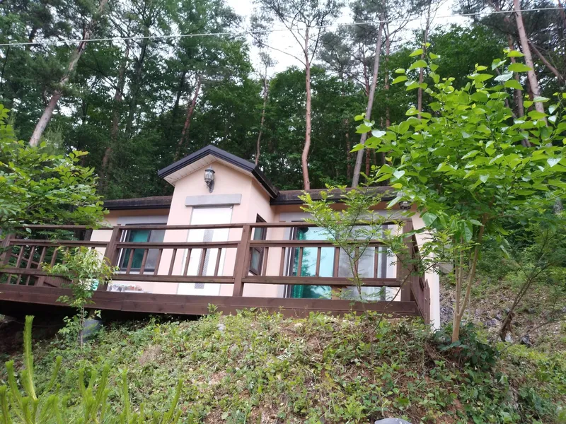 [강원 영월] 태백산로에 위치한 소나무숲 힐링 산장 7
