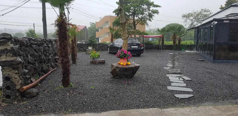 [Seongsan, Seogwipo] Two-room detached house with a large yard full of palm trees #BBQ 50