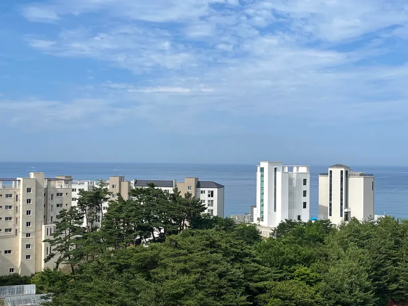 [Gangneung] Ocean view from the penthouse terrace/5 min walk from Sacheonjin Beach/Comfy Gangneung 1 41