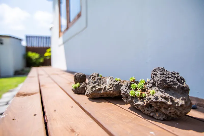[Jocheon, Jeju] Neat, newly built detached two-room house with a yard_Lower unit #JejuStoneWall 40