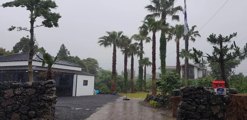 [Seongsan, Seogwipo] Two-room detached house with a large yard full of palm trees #BBQ 47