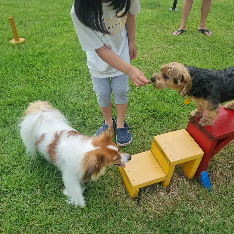 [Gujwa, Jeju] European-style accommodation, pet-friendly one-room duplex Blue Jeju #Large dogs allowed 24