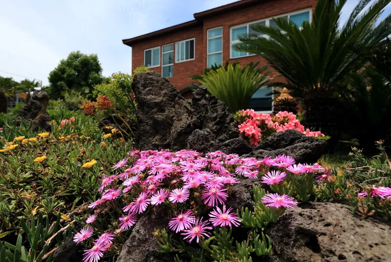 [Namwon, Seogwipo] Oville House Ocean View Two-room 2nd floor group, family unit housing #public and private 15