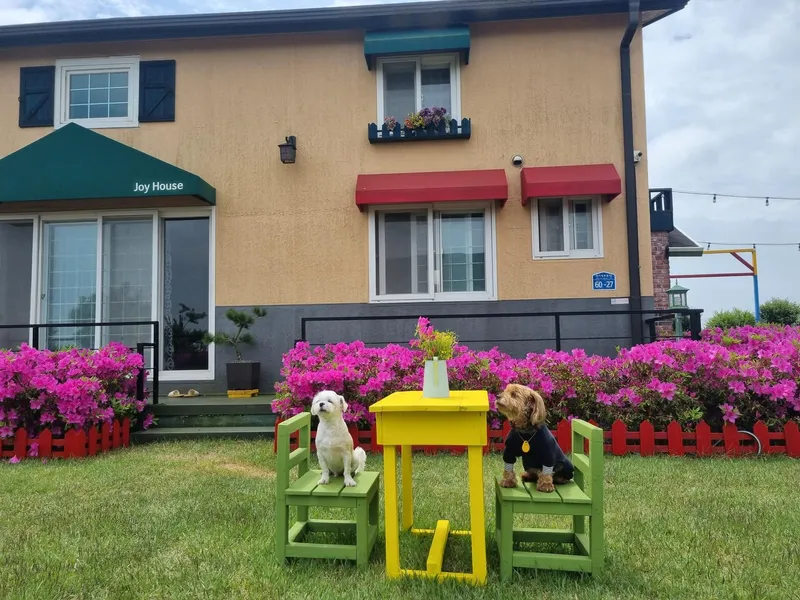 [Gujwa, Jeju] European-style accommodation, pet-friendly one-room duplex Blue Jeju #Large dogs allowed 18