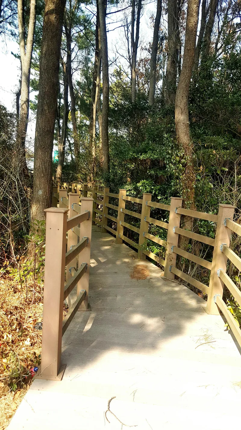 [Andeok, Seogwipo] Jungmun Tourist Complex, a small and practical 2-room detached house with a yard [20 pyeong-B] 47