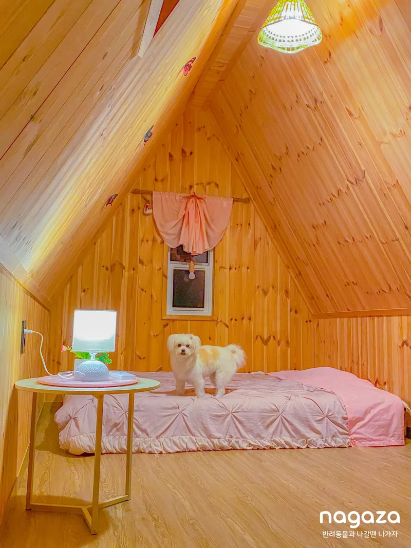 [Gujwa, Jeju] European-style accommodation, pet-friendly one-room duplex Blue Jeju #Large dogs allowed 16