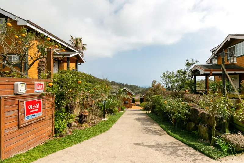[Andeok, Seogwipo] Ocean View Cypress Wood Duplex Wooden Pension 18 Pyeong B #Utilities Included 17