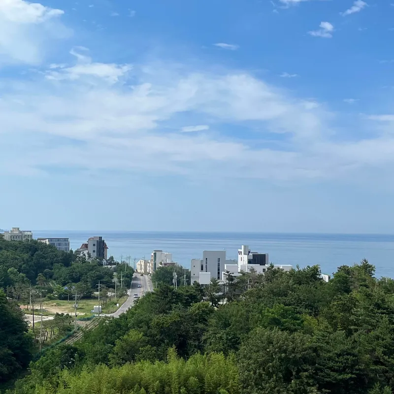 [Gangneung] Ocean view from the penthouse terrace/5 min walk from Sacheonjin Beach/Comfy Gangneung 1 40