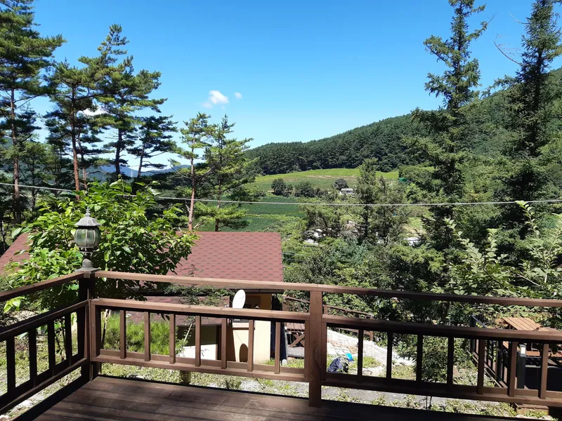 [강원 영월] 태백산로에 위치한 소나무숲 힐링 산장 3