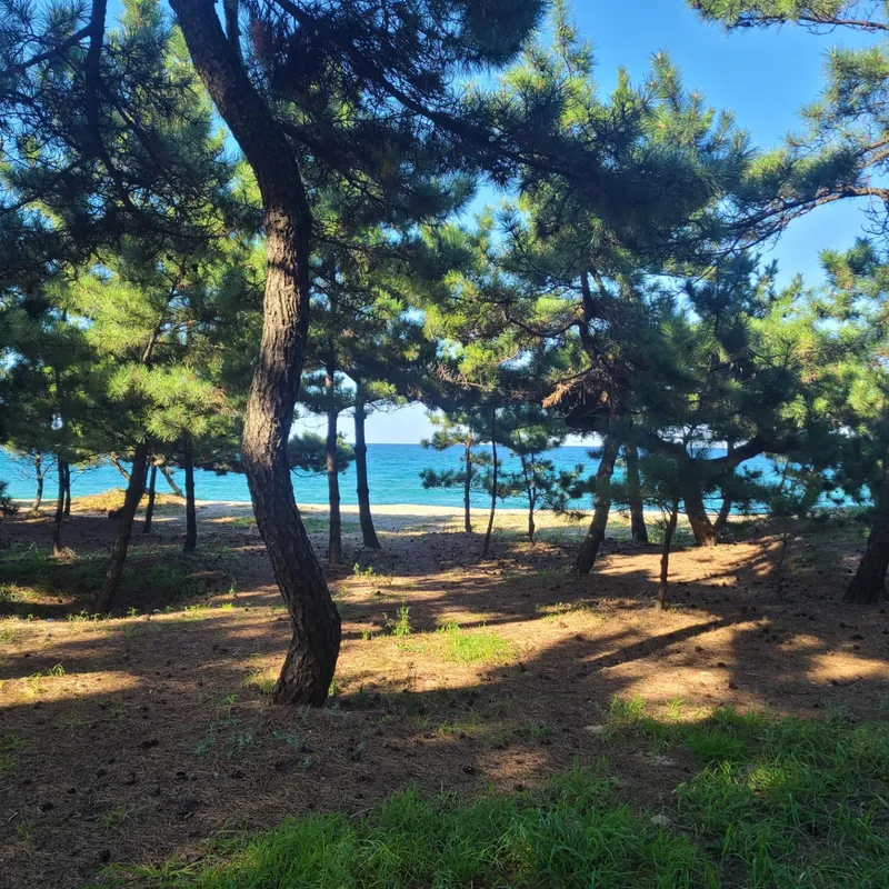 [강원 강릉] 일출이 보이는 오션뷰 8층 원룸(85) #영진해변5분거리 17