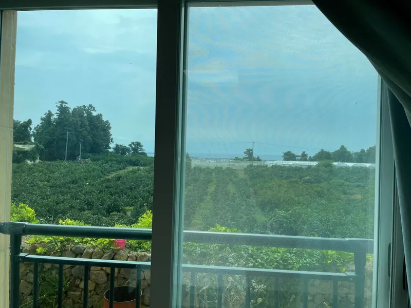 [Sanghyo-dong, Seogwipo] Value-for-money Duplex House with Ocean View Terrace E 3rd Floor 17