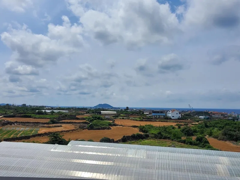[Hallim, Jeju] Ocean view duplex one-room #private terrace #barbecue possible #203 10