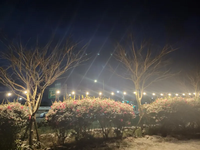 [제주 구좌] 평대바다뷰 일출일몰  예쁜 가족실(23평) #202호 56