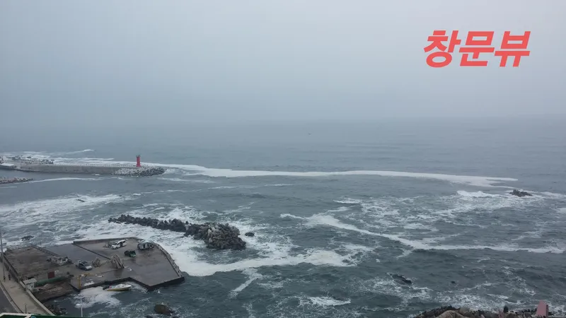 [Gangneung][Gangneung Jumunjin] Fully-furnished one-room apartment with East Sea view #9th floor ocean view #JK House 17