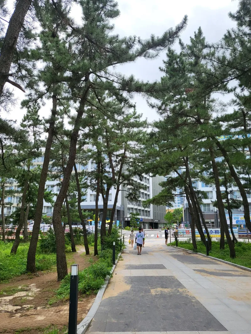 [Sokcho] Near the sea/1 minute from the beach/Cooking possible/Residence/Good place to live in Sokcho 32