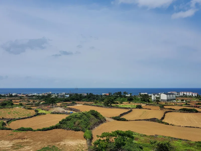 [Hallim, Jeju] Ocean view duplex one-room #private terrace #barbecue possible #203 5
