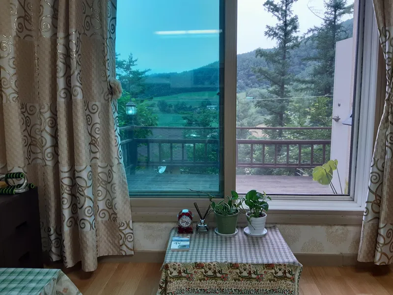 [강원 영월] 태백산로에 위치한 소나무숲 힐링 산장 8