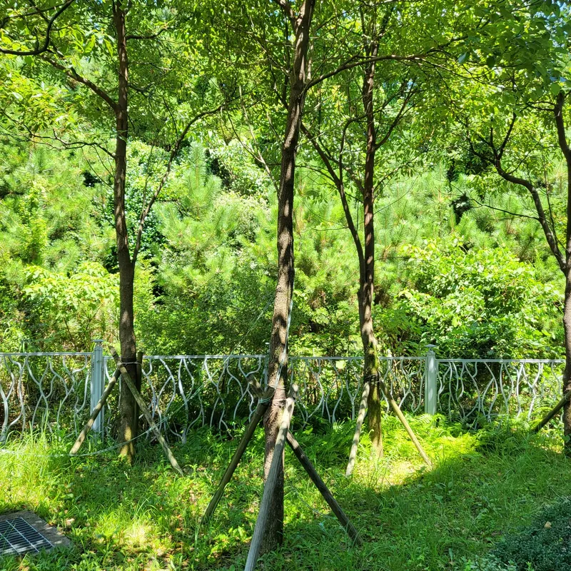 [Donghong-dong, Seogwipo][Jeju Seogwipo♡] 53 pyeong three-room resort #Free gym use 27