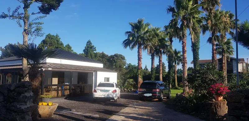 [Seongsan, Seogwipo] Two-room detached house with a large yard full of palm trees #BBQ 28