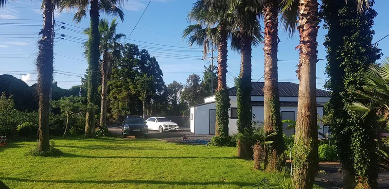 [Seongsan, Seogwipo] Two-room detached house with a large yard full of palm trees #BBQ 55