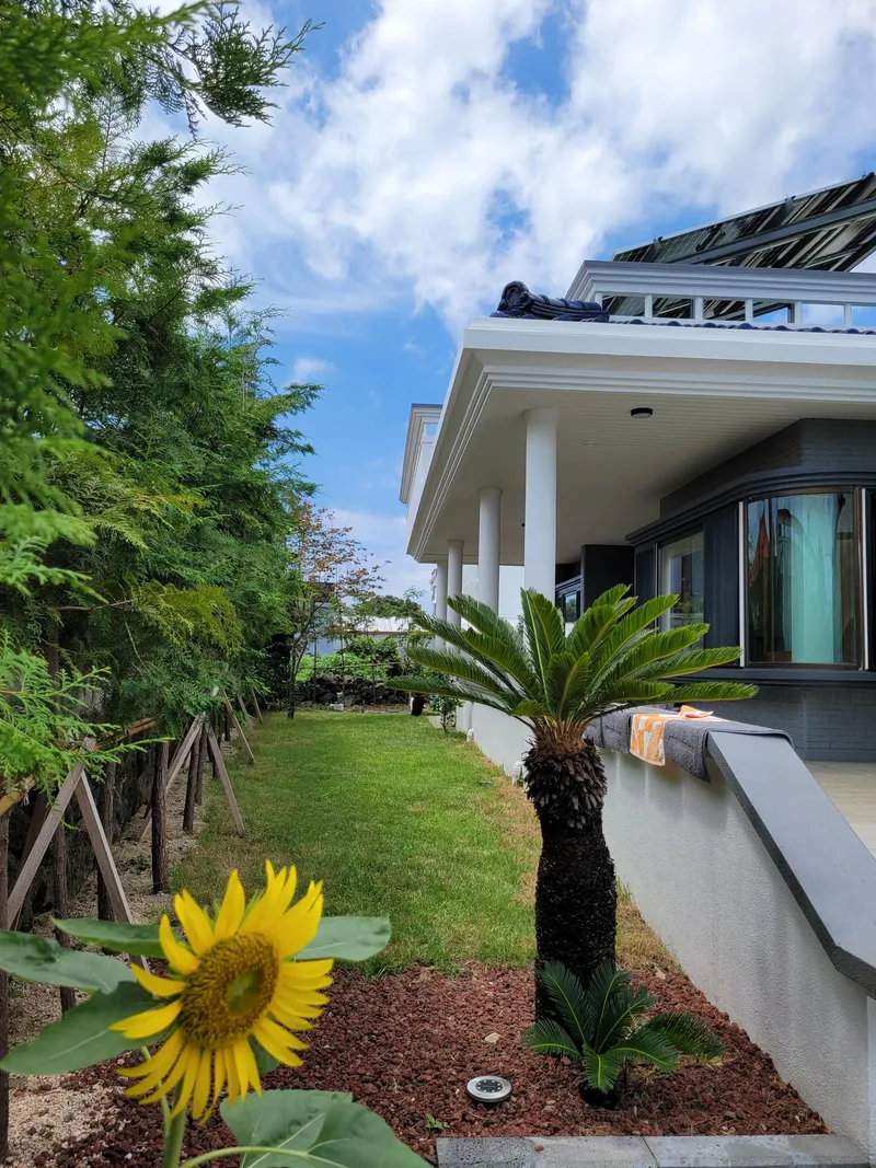 [Bomok-dong, Seogwipo] Two-room detached house with a yard adjacent to the sea, city, and tourist attractions 21