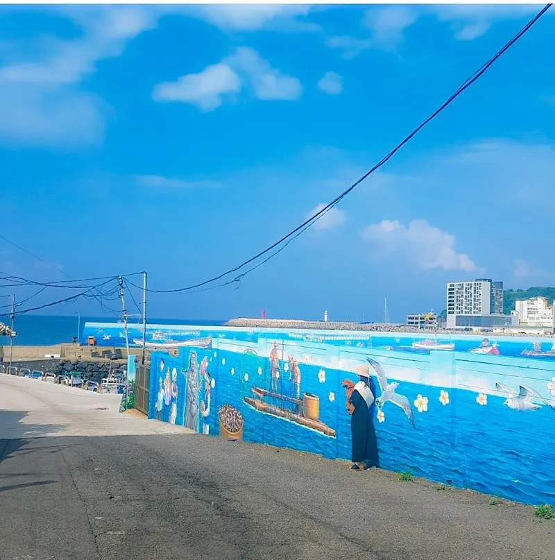 [제주 이호일동] 제주 공항 근처 이호테우해변 근처 원룸 B #애견동반가능 13