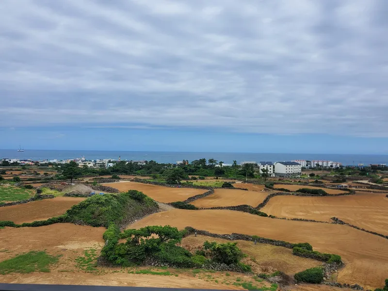 [Hallim, Jeju] Ocean view duplex one-room #private terrace #barbecue possible #202 16