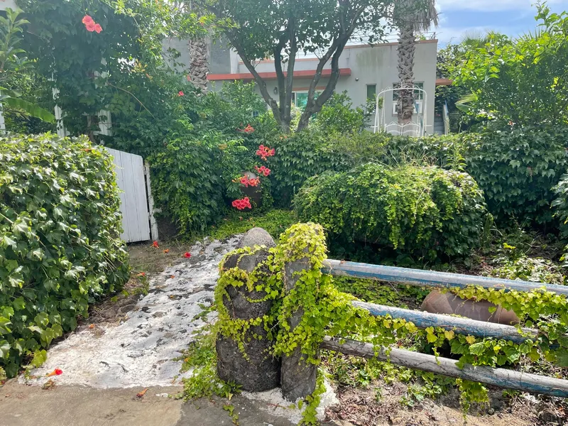 [Namwon, Seogwipo] 5-minute walk from Wimi Port, two-room detached house with a large garden 12