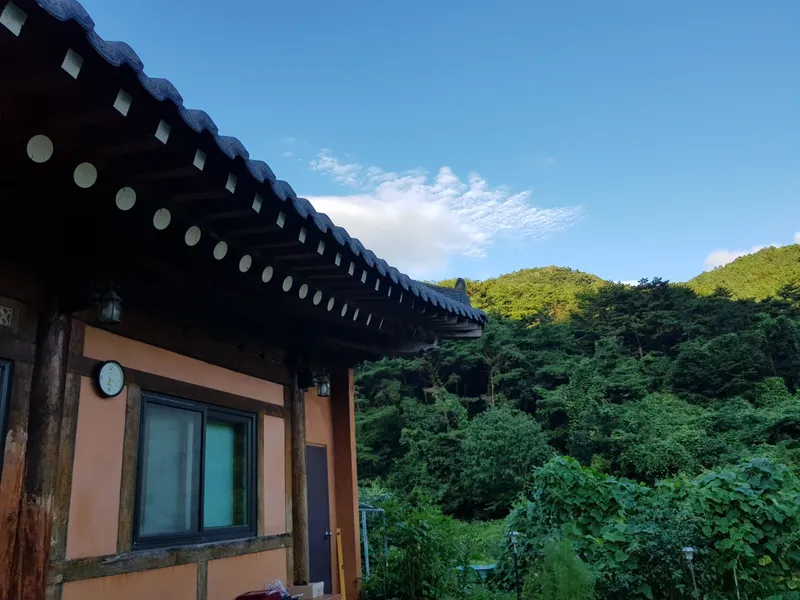 [전남 나주] 잔디마당 있는 한옥 원룸 개인실 #셰어하우스 11