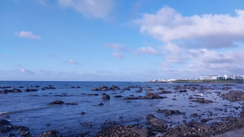 [Aewol, Jeju] Haguibada-ap Ocean View One Room 2nd Floor C #15 minutes from the airport 2