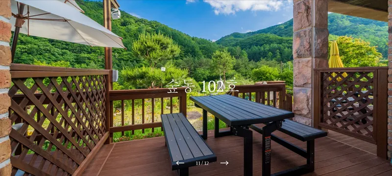 [강원 인제] 자연과 함께하는 고품격 힐링타운 원룸주택 F #애견동반가능 10