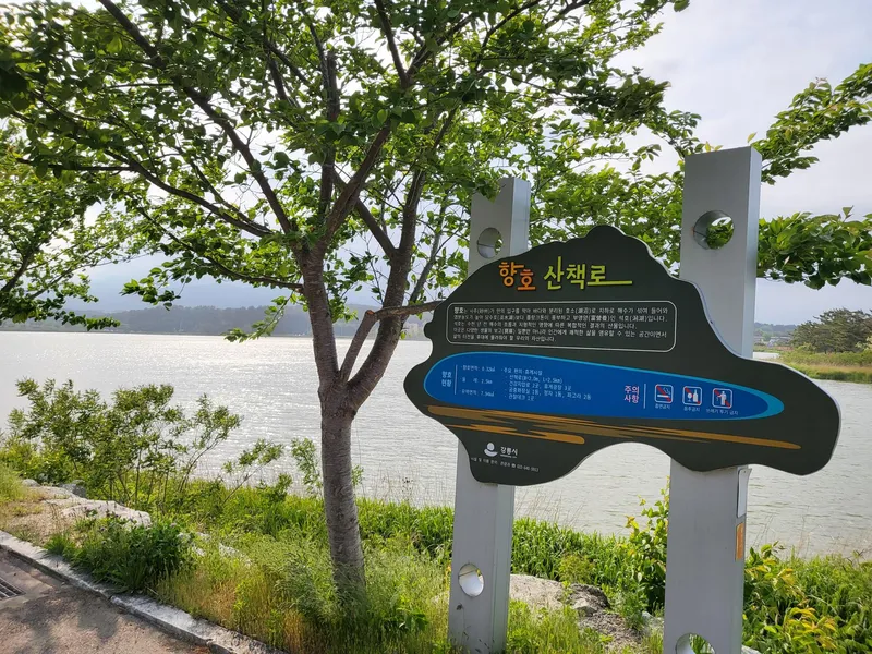 [강원 강릉] 완전 바다뷰 파도소리.일출.셀프체크인. 15