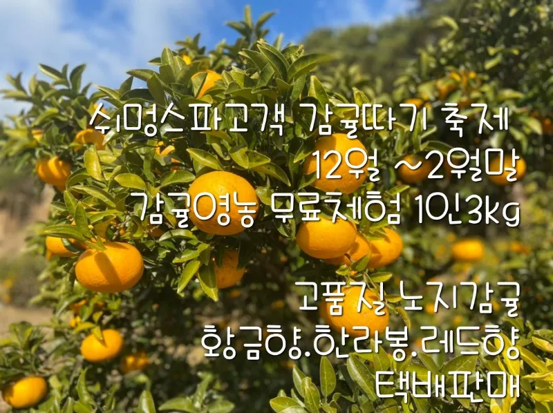[Namwon, Seogwipo][Room 203] Spacious 2-person spa with cool view terrace and cool duplex 90