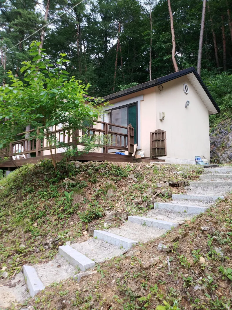 [강원 영월] 태백산로에 위치한 소나무숲 힐링 산장 5