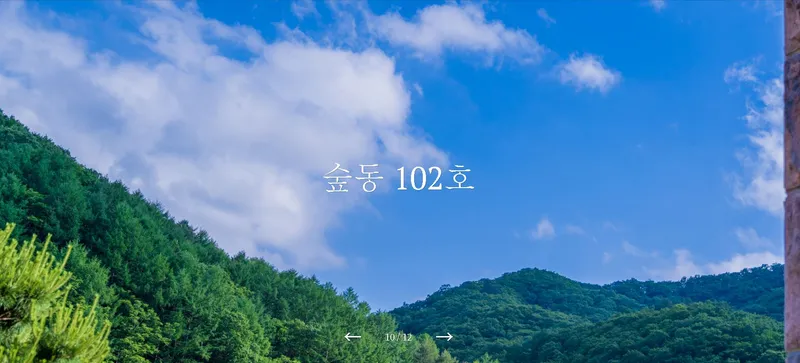 [강원 인제] 자연과 함께하는 고품격 힐링타운 원룸주택 F #애견동반가능 15