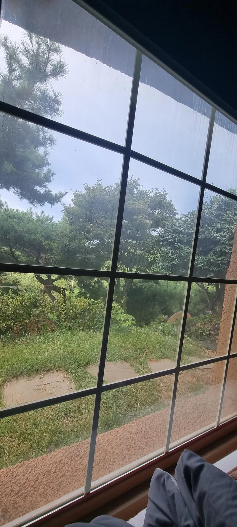 [충남 서산] 반려견과 시골 라이프를 즐길 수 있는 현대식 황토 주택 10
