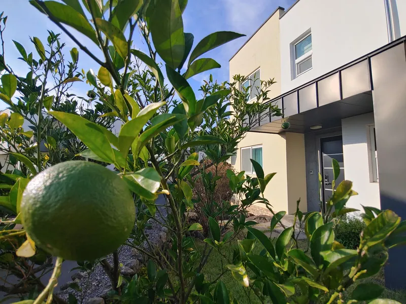 [Andeok, Seogwipo] #DaepyeongPort #Baksugijeong #GunsanOreum/2-story detached house 43
