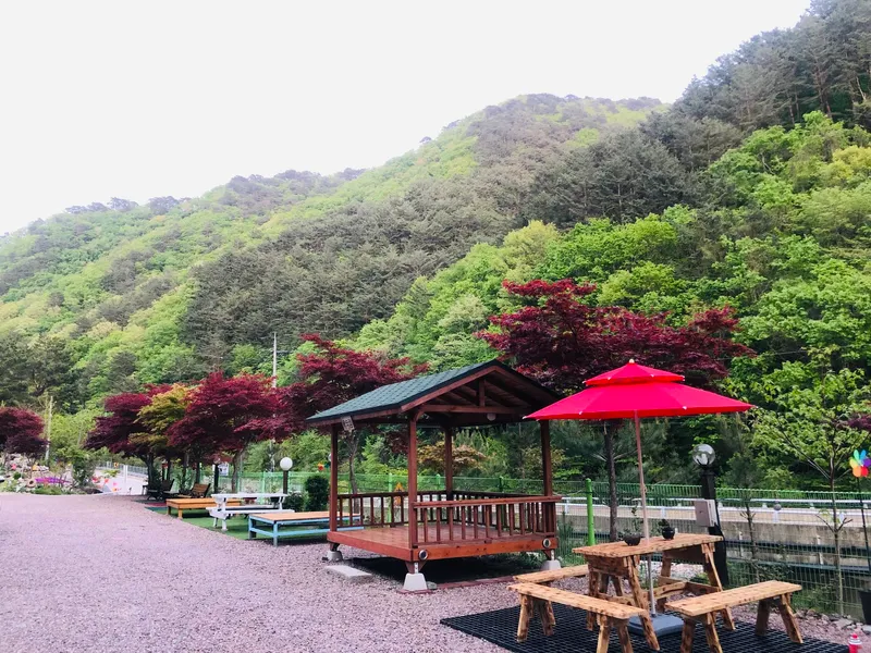[Inje] Pension, valley, yard, forest, convalescence, hot spring 28