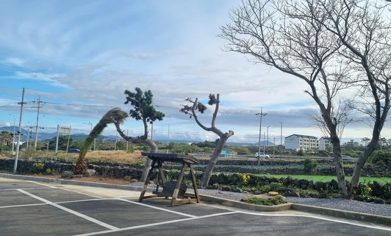 [제주 한림] (1호) 제주스러움이 가득한 곽지근처 투룸#바다뷰#2층 27