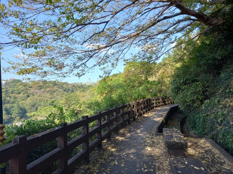 [서귀포 중문동] 제주 서귀포 중문 노을 맛집 오션뷰 한달살이 서핑 풀옵션 뚜벅이 올레길 81