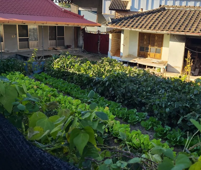 [경북 상주] 안온한 시골집 #셀프공사 #독채 #마당 #불멍 #감성 2