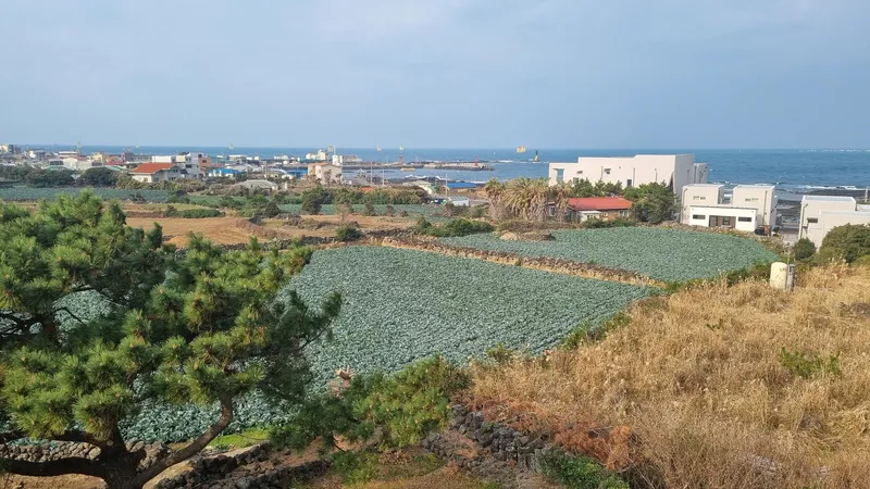[Hallim, Jeju][Aewol/Hanrim] Between Gwakji and Hyeopjae<A호> #Ocean view#Field view#Two rooms#3rd floor 19