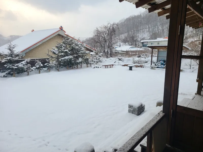 [충북 영동] 대전과영동사이  #아늑한감성숙소#넓은마당#시골집#있는그대로 37