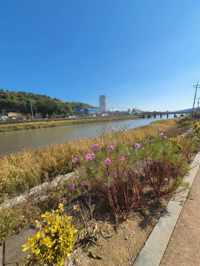 [전남 보성] 벌교읍내 화이트톤 조용한 시골집 단독주택 20