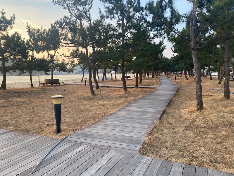 [Yangyang] The best sea view at sunrise. 15 minutes from Hyeonnam IC 26