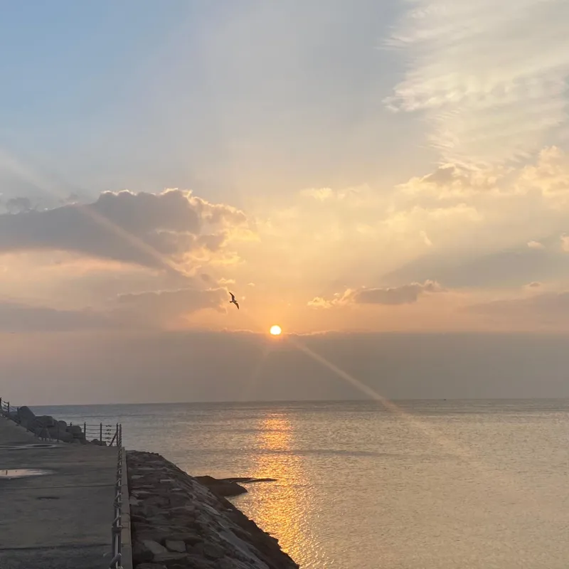 [Yangyang] The best sea view at sunrise. 15 minutes from Hyeonnam IC 23