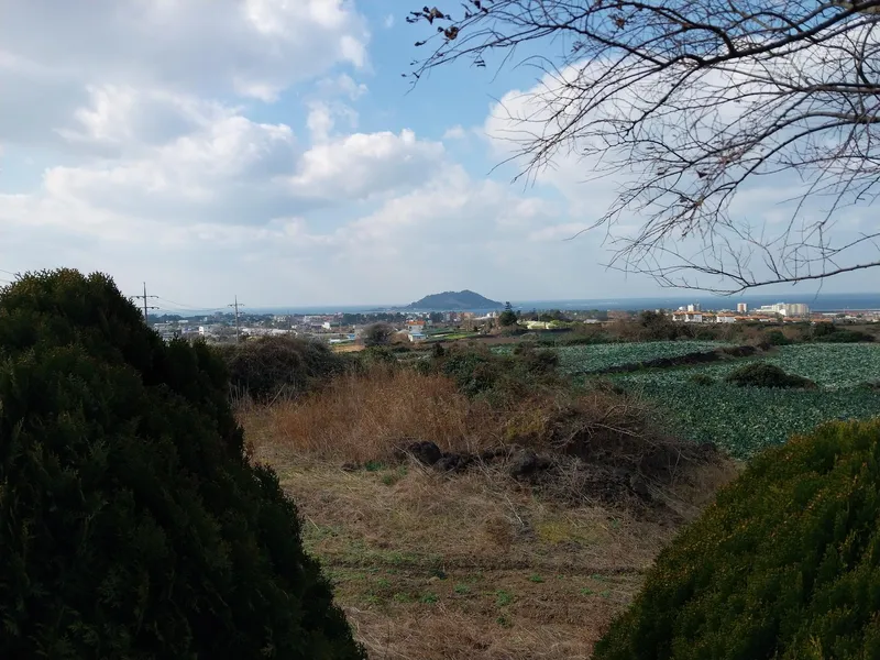 [Hallim, Jeju] Ocean View Pension 105 with a view of Biyangdo Island 35