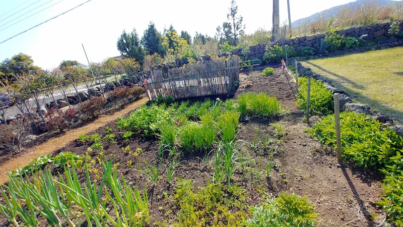 [Jocheon, Jeju] 2nd floor of a country house in Seonheul-ri World Natural Heritage Village 13