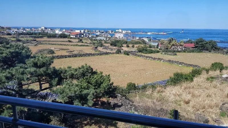 [Hallim, Jeju][Aewol/Hanrim] Between Gwakji and Hyeopjae<B호> #Ocean view#Field view#Two rooms#1st floor 13